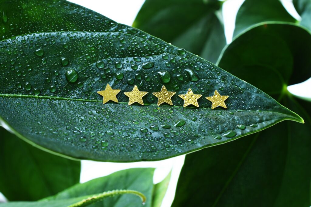 Fairlo recension - 5 av 5 stjärnor